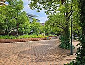 アメリカ橋公園 徒歩1分。 20m