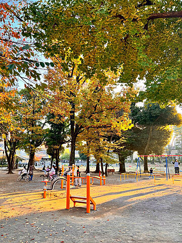 周辺 ロイヤルパレス板橋 4階/405