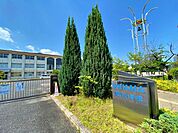 豊田市立美山小学校 800m