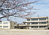 周辺：柏市立高柳小学校（250m）