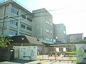 石橋南小学校 302m