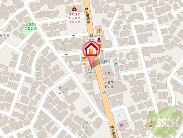 地図
