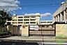 周辺：北豊島小学校 562m