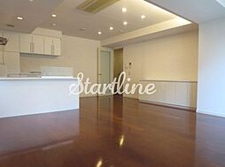 プラチネ・サンク 301 3階2LDKのリビング/ダイニング