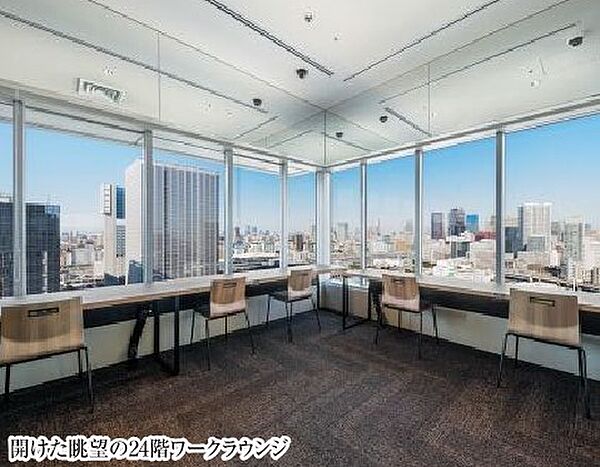 ウエリスアーバン品川タワー 2013｜東京都港区港南４丁目(賃貸マンション1R・20階・38.02㎡)の写真 その24