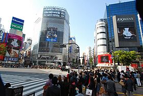 パーク・アヴェニュー神南 501 ｜ 東京都渋谷区神南１丁目13-8（賃貸マンション1LDK・5階・66.16㎡） その20