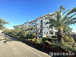 物件画像 香里三井Ｆ住宅83号棟