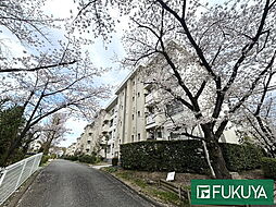 物件画像 香里三井ＥＧ住宅85号棟