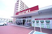 カスミ柏たなか