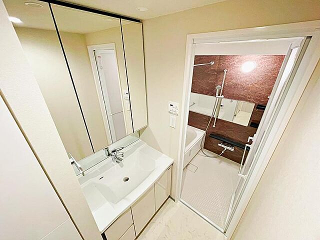 洗面 セイガステージ国立ＳＯＵＴＨ 5階/-