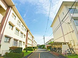 物件画像 フルリノベ済　立川羽衣町住宅