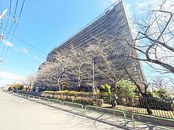 物件画像 蓮根ファミールハイツ1号棟