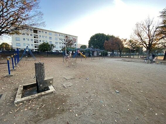 渡鹿公園　約5...