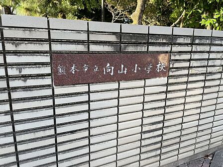 向山小学校まで491m、徒歩約7分