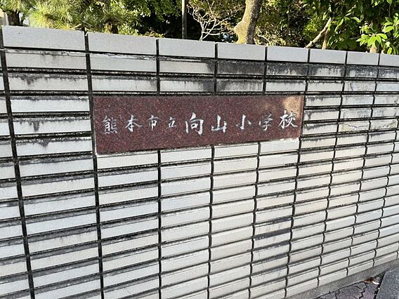 向山小学校まで...