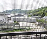 南向きの風景。