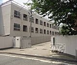 音羽中学校まで287m