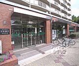 京都銀行 向島支店まで1100m