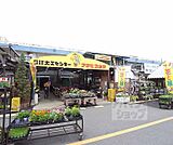 アサヒプラザ 下鳥羽店まで2000m