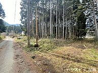 兵庫県丹波市氷上町井中：物件画像