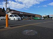セブンイレブン羽村羽加美1丁目店 徒歩11分。コンビニ 860m