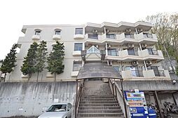 ホワイトウィング左入