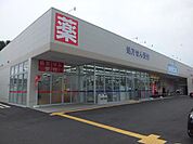 ウエルシア立川柏町店 徒歩10分。ドラックストア 780m