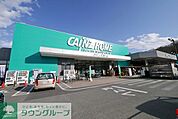 カインズホーム飯能店 徒歩14分。ホームセンター 1070m