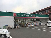 ドラッグセイムス羽村栄町店 徒歩13分。ドラックストア 1030m