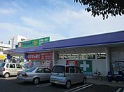 ウェルパークむさし村山店 徒歩11分。ドラックストア 850m