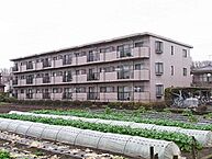 東京都福生市大字福生2332-1：物件画像／株式会社タウンハウジング東京　羽村店