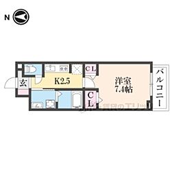 カモミール菅原東