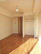 Dタイプ2011年1月撮影