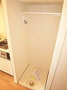 Dタイプ2011年1月撮影