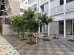 物件画像 アルファステイツ兵庫町