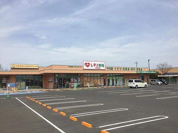 画像25:【ドラッグストア】レデイ薬局 十川店まで2674ｍ