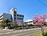 周辺：【高校】香川県立高松桜井高等学校まで732ｍ