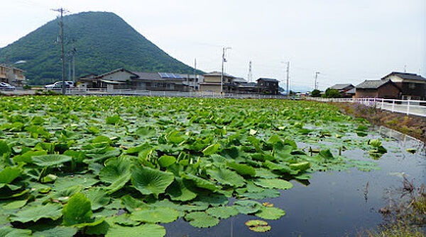 周辺：【公園】菰池まで170ｍ