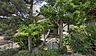 周辺：【寺院・神社】善正寺まで679ｍ