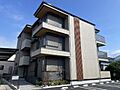 D-Crinum竹原