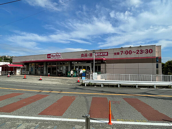 画像16:スーパー「マックスバリュ三島壱町田店まで509m」