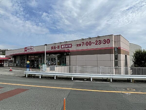 画像19:スーパー「マックスバリュ三島壱町田店まで267m」