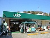ユーコープ玉縄店 192m