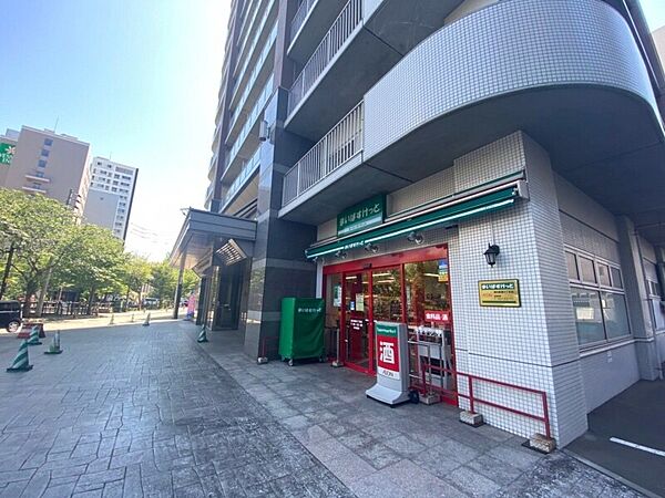 ティアラタワー中島倶楽部 ｜北海道札幌市中央区南八条西4丁目(賃貸マンション1LDK・29階・42.07㎡)の写真 その30