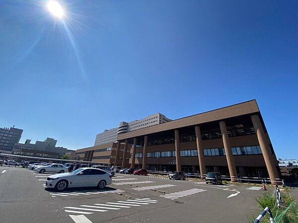 画像30:国立大学法人北海道大学病院 295m