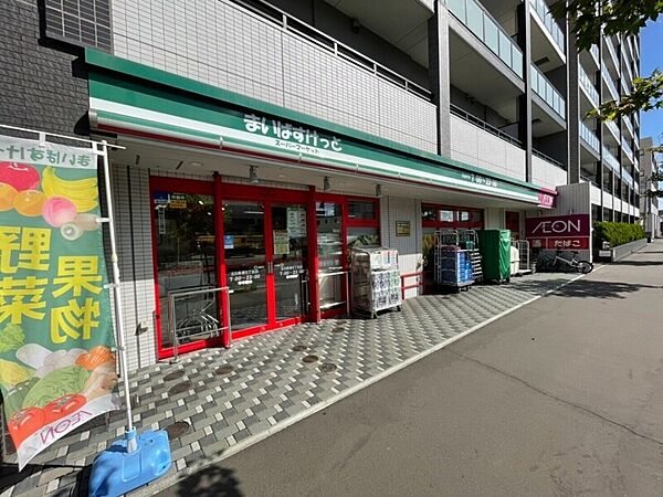 レジディア札幌駅前 ｜北海道札幌市中央区北五条東2丁目(賃貸マンション2LDK・11階・46.99㎡)の写真 その30