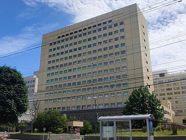 画像30:札幌医科大学附属病院 429m