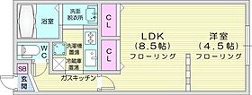 ゼスティ医大前  ｜ 北海道札幌市中央区南四条西16丁目（賃貸マンション1LDK・3階・34.78㎡） その2