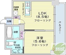 TEADA北4条 1LDKの間取図画像