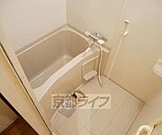 3点セパレート